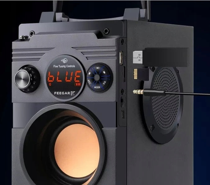 Medinė Bluetooth kolonėlė „Feegar Showjet“, 30 W, su FM radiju, USB ir karaoke funkcija