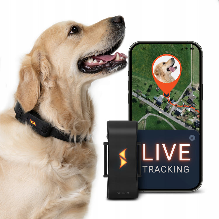 GPS sekiklis šunims „PAJ Pet Finder 4G“, atsparus vandeniui – nuotrauka 1