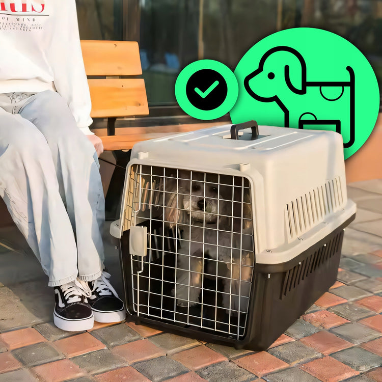 Plastikinė katės ir šuns nešyklė-narvelis su girdykle, 48 × 31 × 30 cm