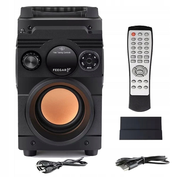 Medinė Bluetooth kolonėlė „Feegar Showjet“, 30 W, su FM radiju, USB ir karaoke funkcija