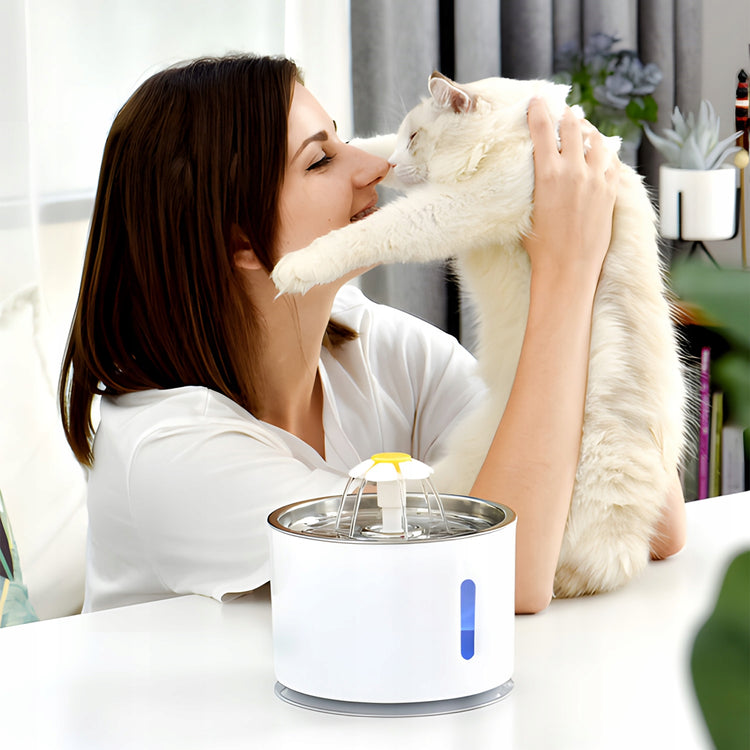 Automatinė gertuvė-fontanas gyvūnams „Renew Force“ su filtru, 2,4 l – nuotrauka 6