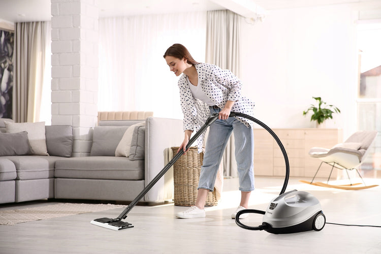 Garų mopas „Transa SteamClean TE-190“, 2000 W, 4 bar – nuotrauka 3