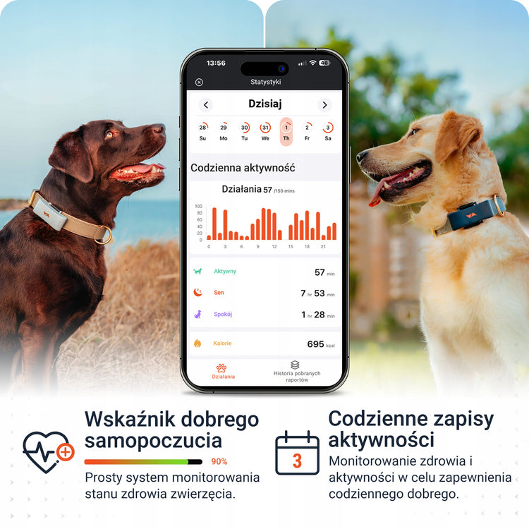 GPS sekiklis šunims „PAJ Pet Finder 4G“, atsparus vandeniui – nuotrauka 4