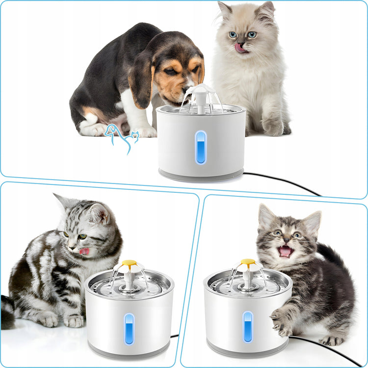 Automatinė gertuvė-fontanas gyvūnams „Renew Force“ su filtru, 2,4 l – nuotrauka 2
