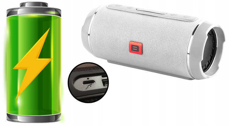 Nešiojama Bluetooth kolonėlė „Blow BT460“, 20 W, su 4 garsiakalbiais ir FM radiju