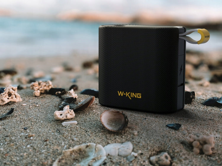 Kompaktiška Bluetooth kolonėlė „W-King D2“, 6 W, IPX7, su FM radiju