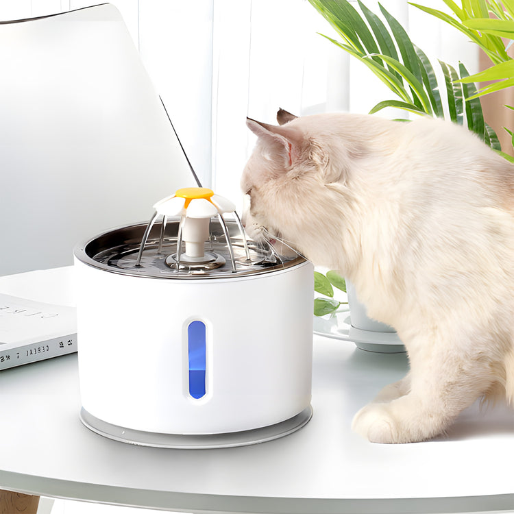 Automatinė gertuvė-fontanas gyvūnams „Renew Force“ su filtru, 2,4 l – nuotrauka 5