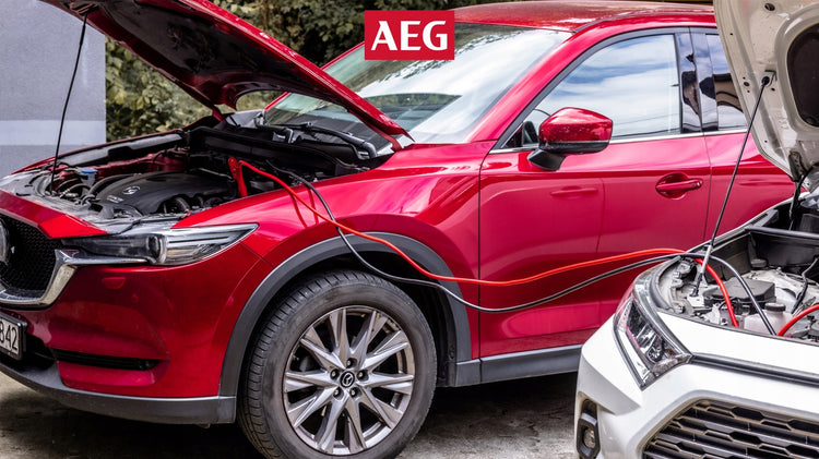 Šviečiantys paleidimo laidai „AEG“ su StartProtect, 3,5 m, 16 mm², su dėklu