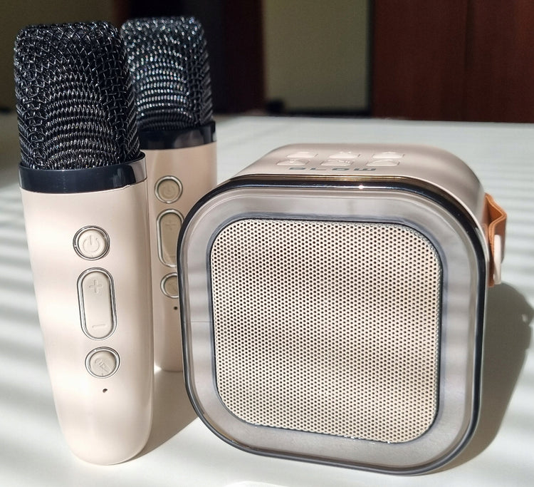 Belaidė karaoke kolonėlė su 2 mikrofonais vaikams „LK Avalon“