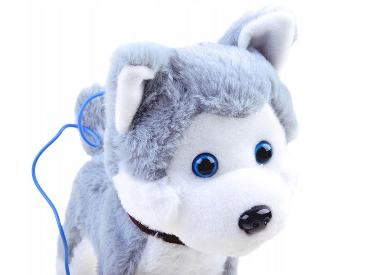 Interaktyvus žaislinis šuo „Husky“ su pavadėliu