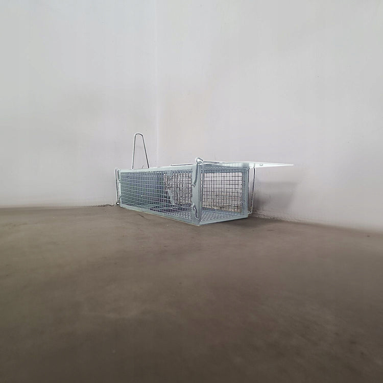 Graužikų gaudyklė „Repest“ – nuotrauka 8