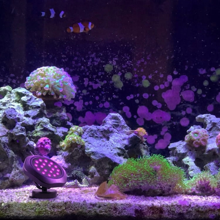 Saulės šviestuvų komplektas „S5403 RGB“, 5 × 1 W – nuotrauka 3