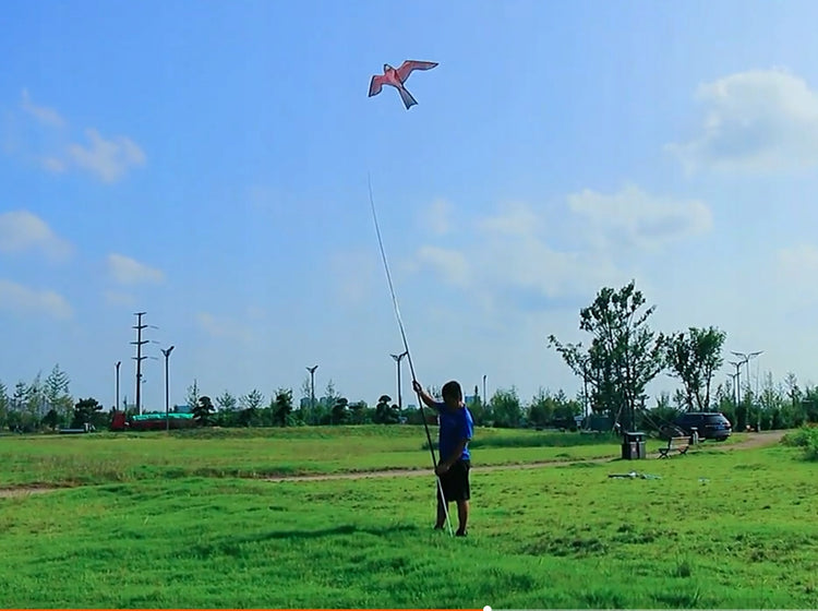Paukščių baidyklė „Leopard Repeller L-KITE-5“ – nuotrauka 8