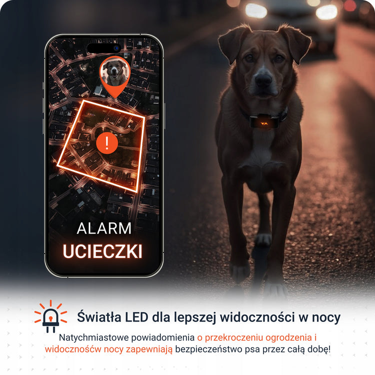 GPS sekiklis šunims „PAJ Pet Finder 4G“, atsparus vandeniui – nuotrauka 5