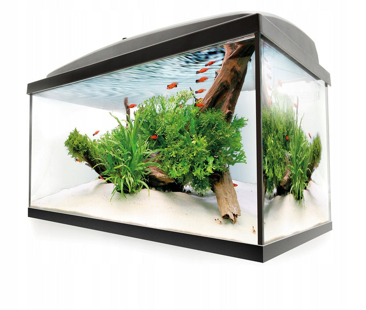 Akvariumo rinkinys „Wiwal“ su filtru ir automatiniu šildytuvu, 35 l, 40 × 25 × 35 cm