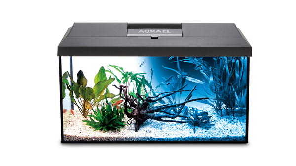 Akvariumo rinkinys 60 × 30 × 40 cm, 72 l, su LED apšvietimu „Aquael Leddy“ Day & Night