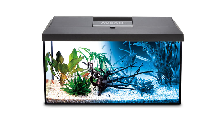 Akvariumo rinkinys 60 × 30 × 40 cm, 72 l, su LED apšvietimu „Aquael Leddy“ Day & Night