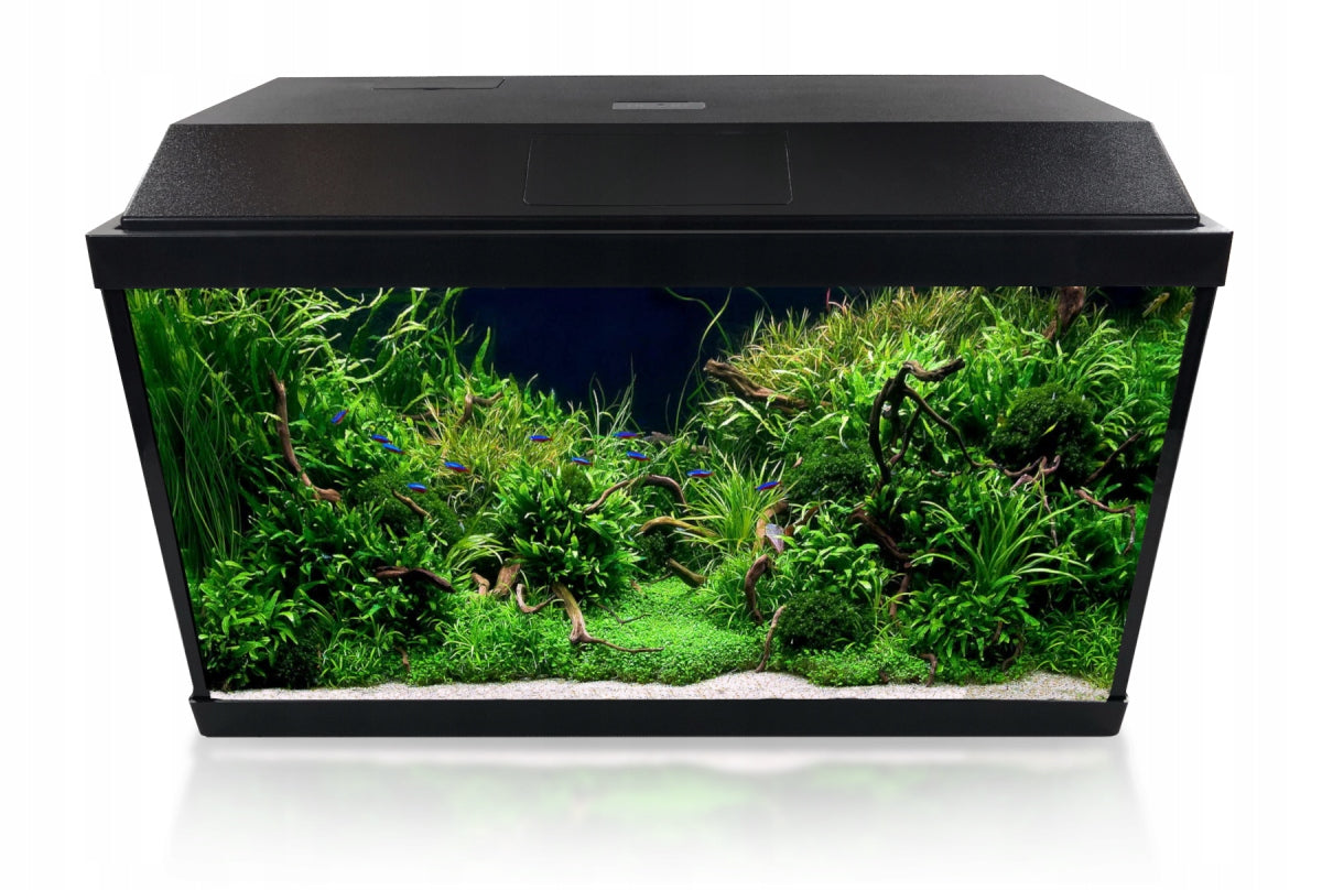 Akvariumo rinkinys „Invital“ su LED apšvietimu, filtru ir šildytuvu, 60 l