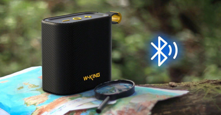 Kompaktiška Bluetooth kolonėlė „W-King D2“, 6 W, IPX7, su FM radiju