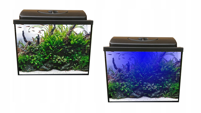 Akvariumo rinkinys 40 × 25 × 30 cm, 30 l, su LED Day & Night apšvietimu