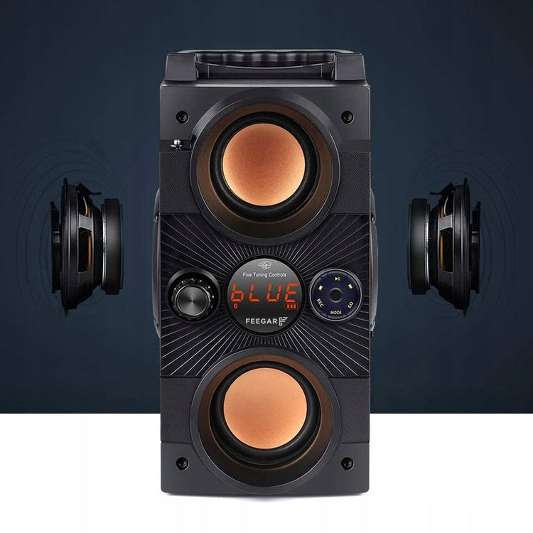 Medinė Bluetooth kolonėlė „Feegar Dance“, 30 W, su radiju ir karaoke funkcija