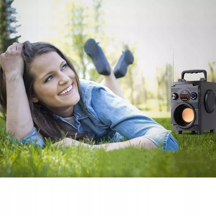 Medinė Bluetooth kolonėlė „Feegar Showjet“, 30 W, su FM radiju, USB ir karaoke funkcija