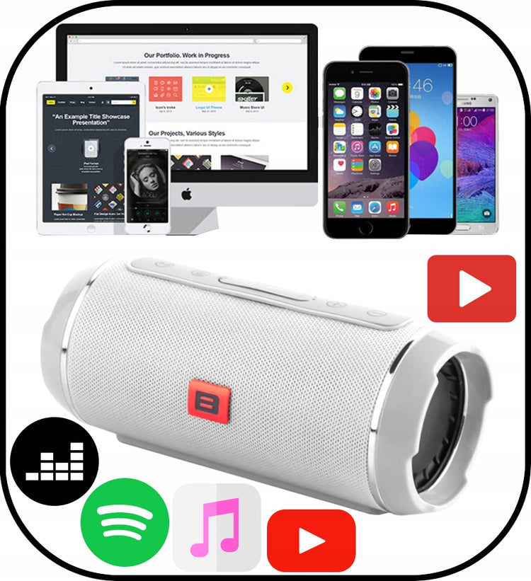 Nešiojama Bluetooth kolonėlė „Blow BT460“, 20 W, su 4 garsiakalbiais ir FM radiju