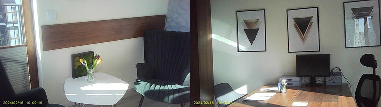 Rašiklis su Full HD kamera „Ineotronic TE-W9“