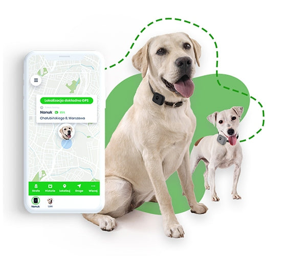 GPS lokatorius šunims ir katėms „Locon Dog“, vandeniui atsparus