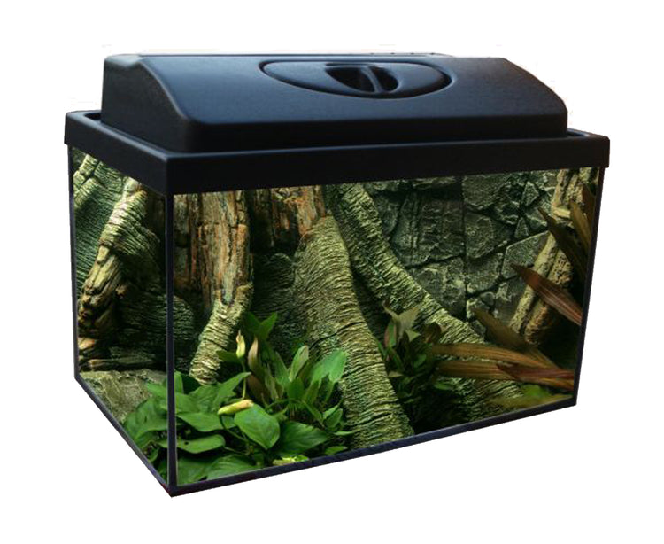Akvariumo rinkinys 40 × 25 × 30 cm, 30 l, su LED Day & Night apšvietimu