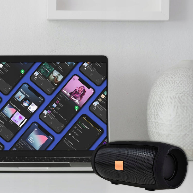 Nešiojama Bluetooth kolonėlė „Lewer E3-Mini“ su 4 garsiakalbiais, juoda