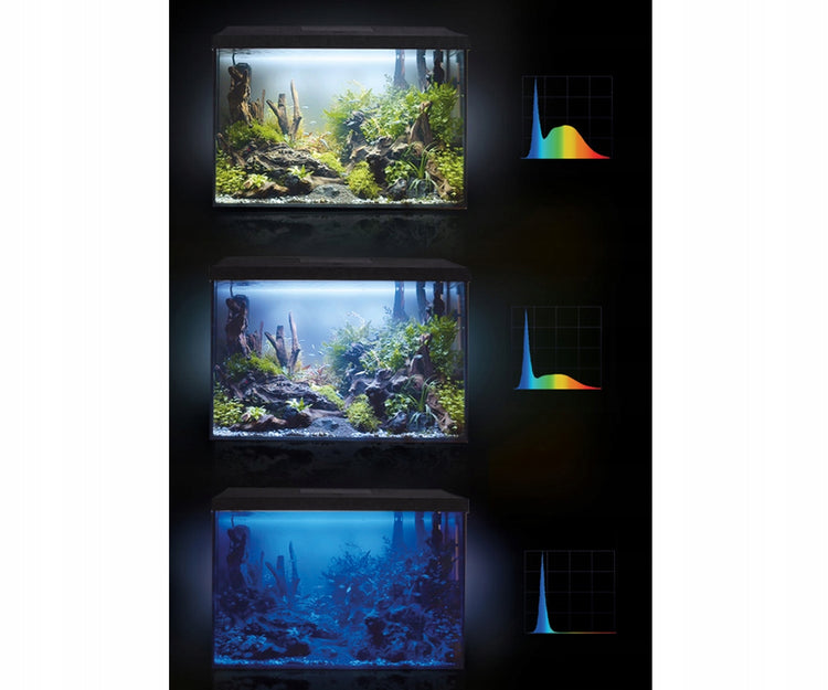 Akvariumo rinkinys 60 × 30 × 40 cm, 72 l, su LED apšvietimu „Aquael Leddy“ Day & Night