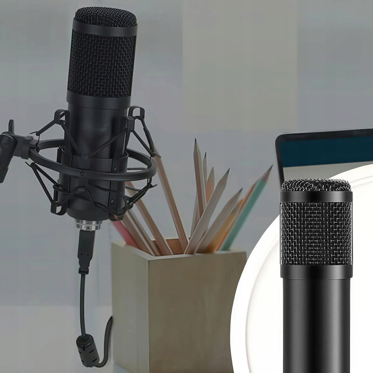 Studijinio mikrofono rinkinys su stovu