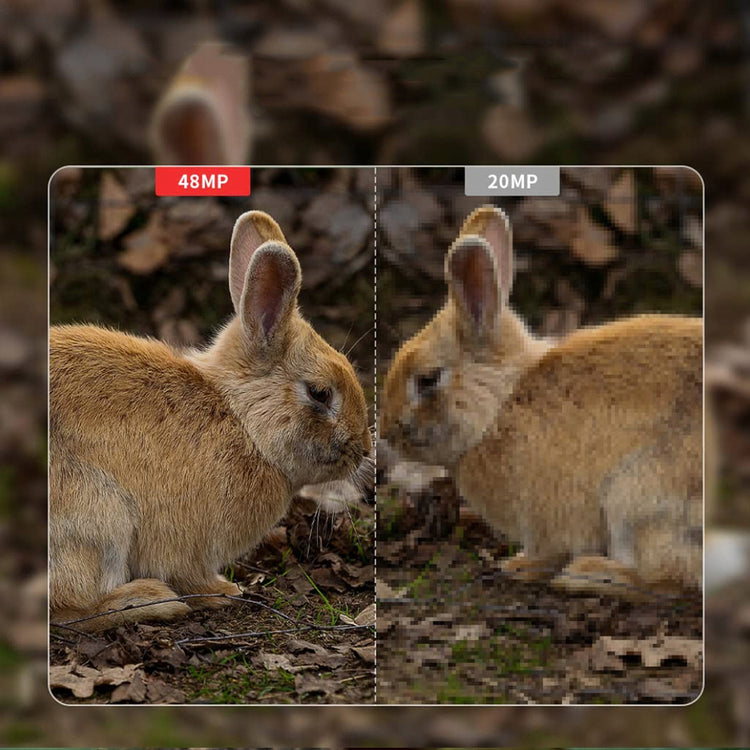 Miško kamera „Usogood 4K“ su Wi-Fi