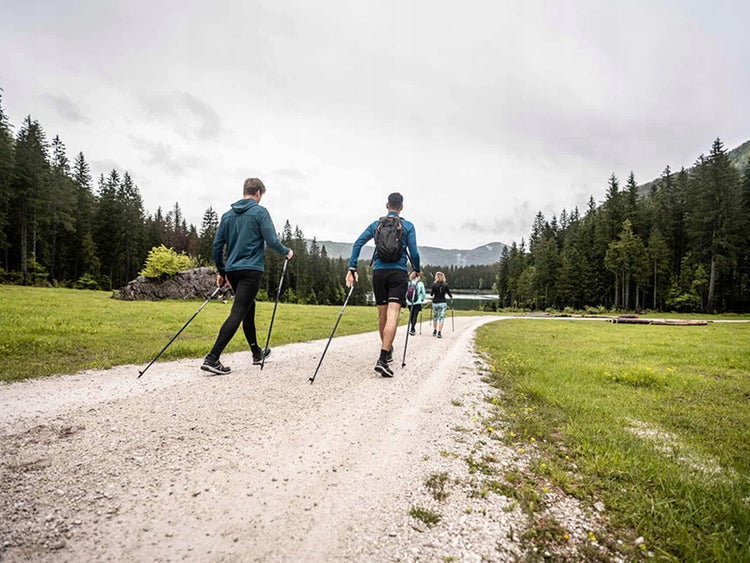 Šiaurietiško ėjimo lazdos „Nordic Walking“, 135 cm