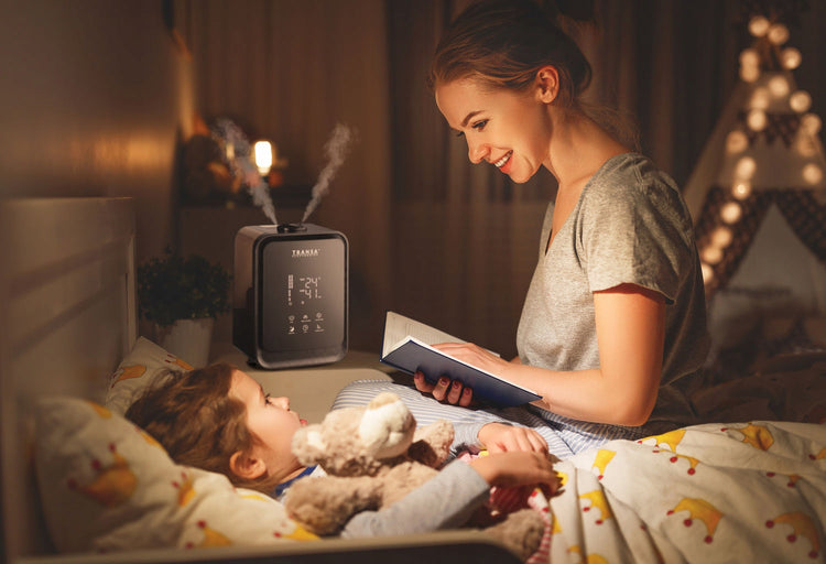 Oro drėkintuvas „Transa AquaMist“, 4,5 l