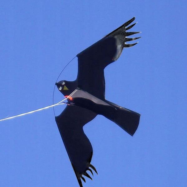 Paukščių baidyklė „Leopard Repeller L-KITE-5“ – nuotrauka 3