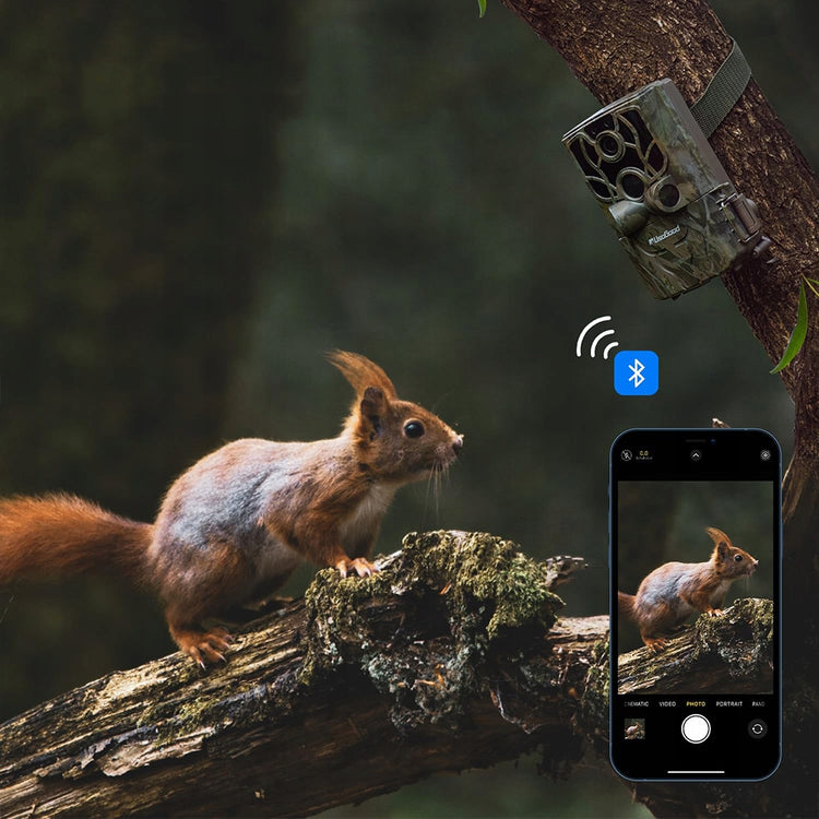 Miško kamera „Usogood 4K“ su Wi-Fi