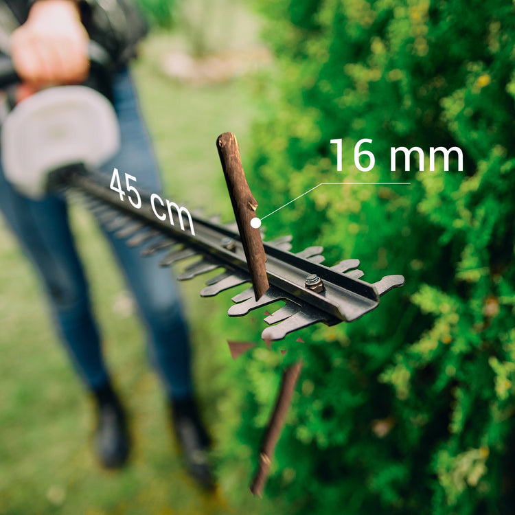 Gyvatvorių žirklės „Lehmann Brodsworth“, 45 cm – nuotrauka 13