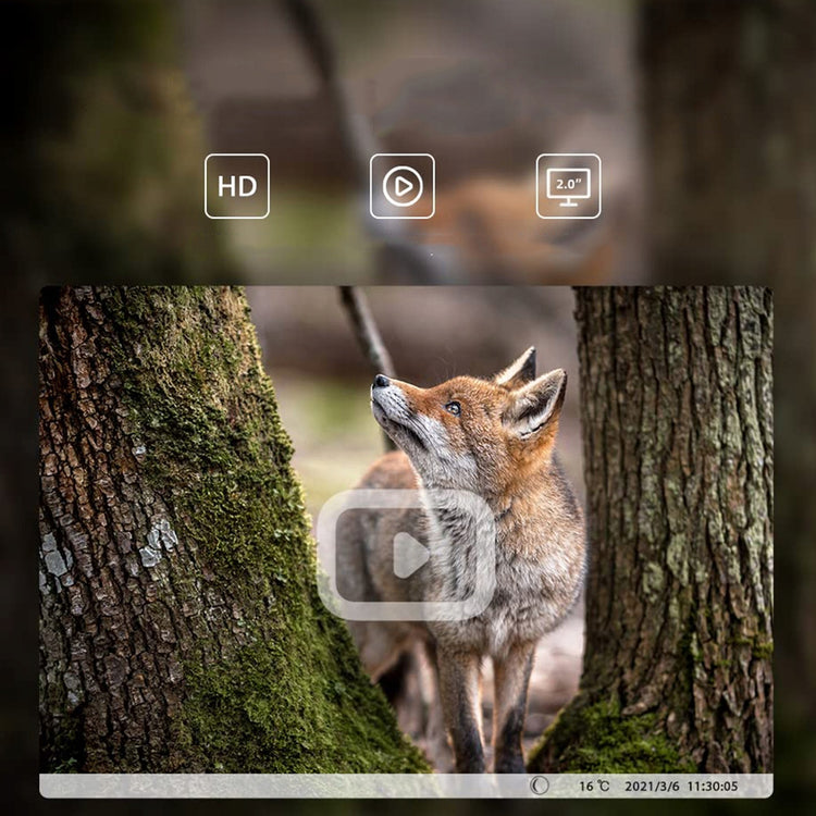 Miško kamera „Usogood 4K“ su Wi-Fi