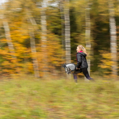 Hobby Horse Skippi – Didelis žirgas ant lazdos vaikams, pilkas